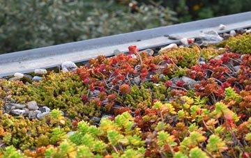 the cost of Hoops green roof installation