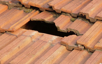 roof repair Hoops, Devon